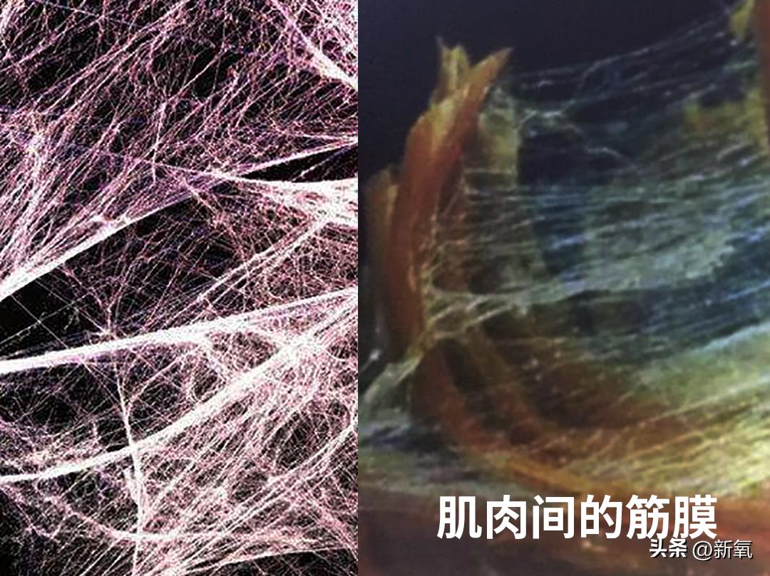 脸太下垂,脸下垂了是不是就显胖