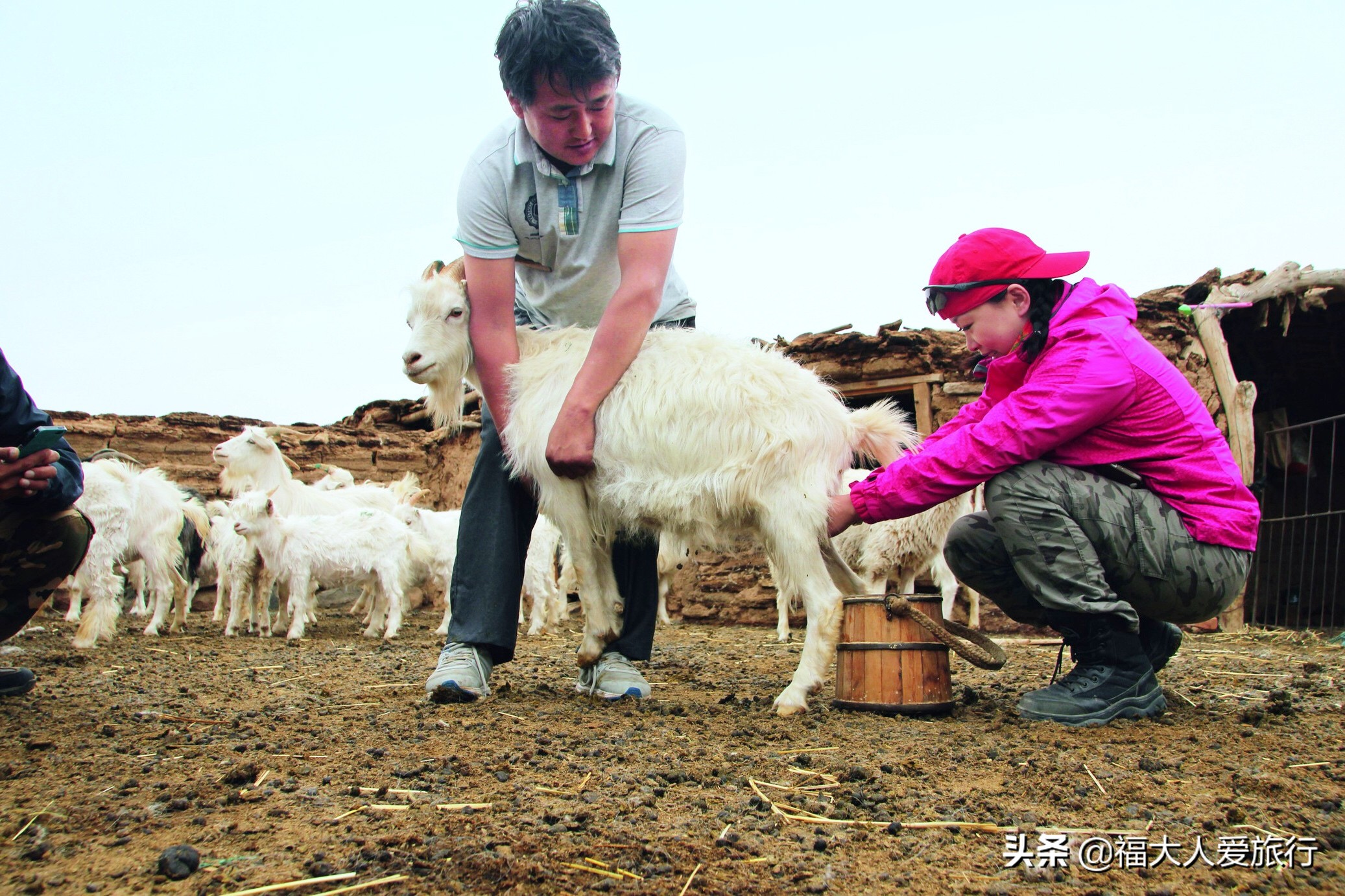 内蒙古阿拉善草原七天自驾游攻略,内蒙古戈壁自驾游
