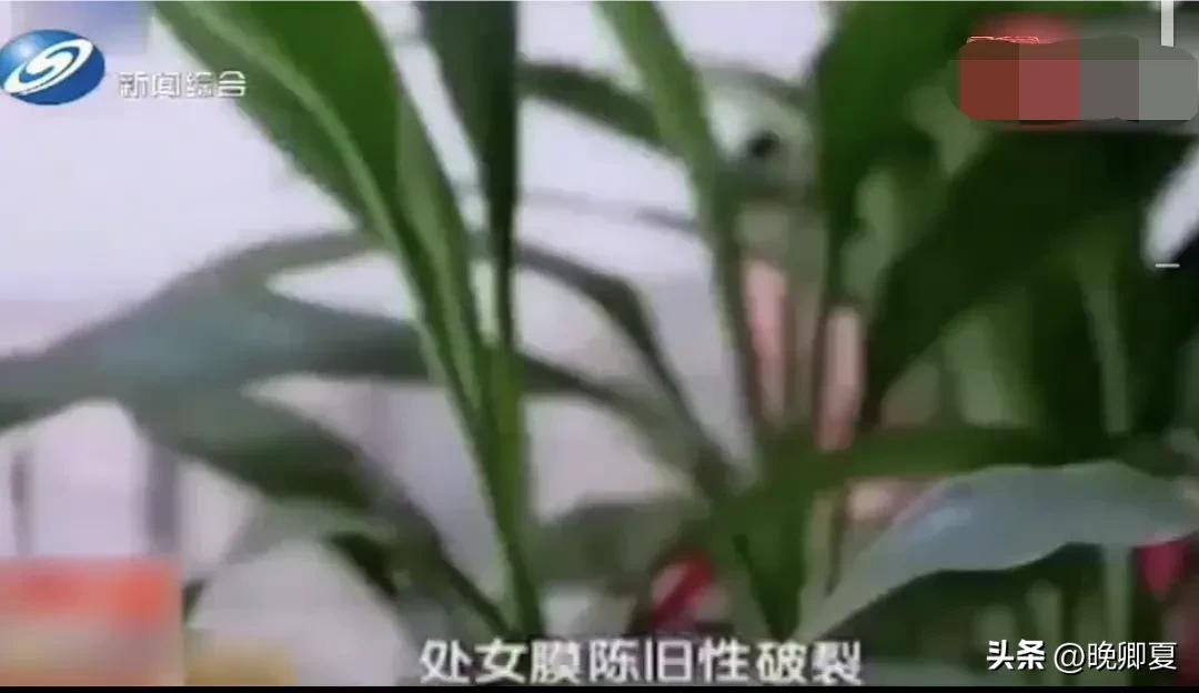 父亲侵害继女，母亲却浑然不知，这是重组家庭的悲哀，谁能懂