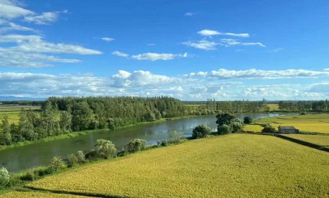 解析全国16个整村运营,解码全国16个整村运营经典案例