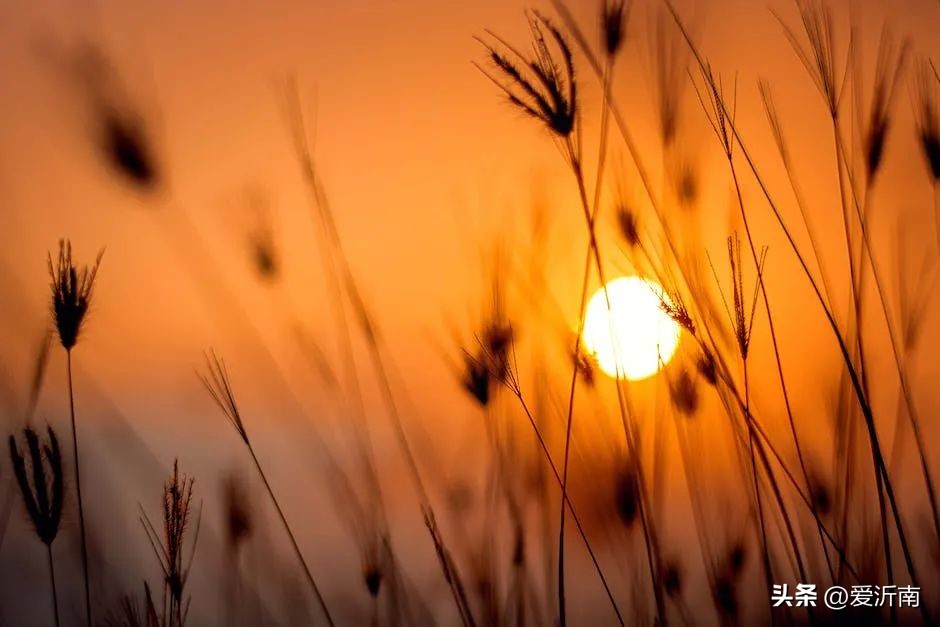 微信名看性格分析,微信的名字暴露一个人的心理