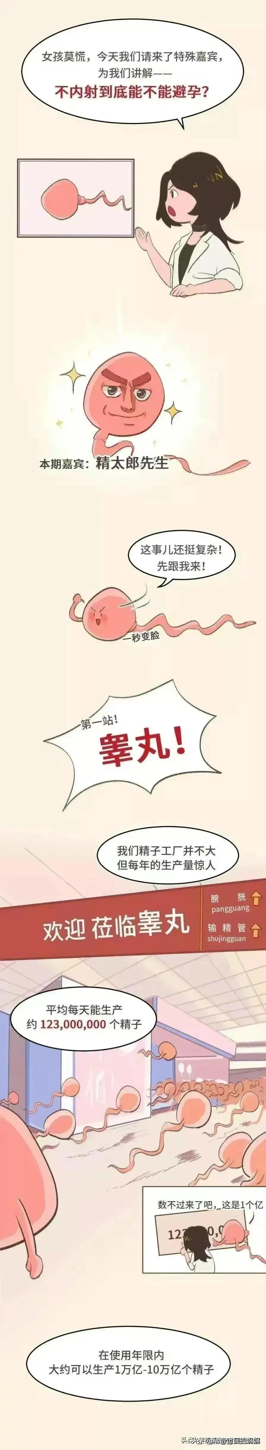 漫画：男女夫妻生活中，男人不*射内**到底能不能避孕？