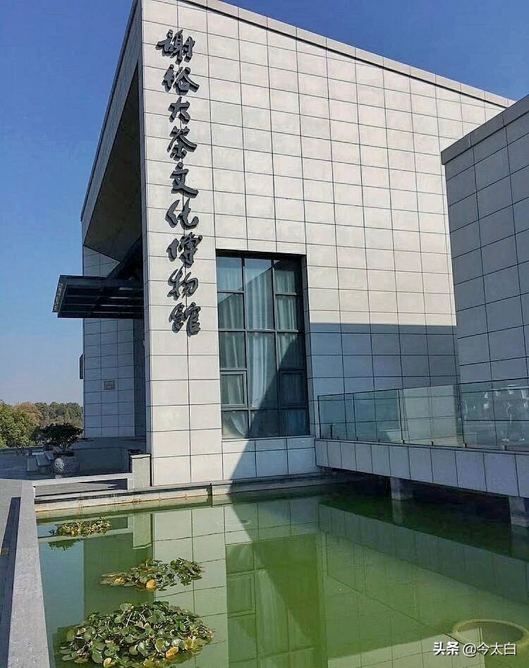 黄山毛峰第一家,黄山毛峰是文化遗产吗