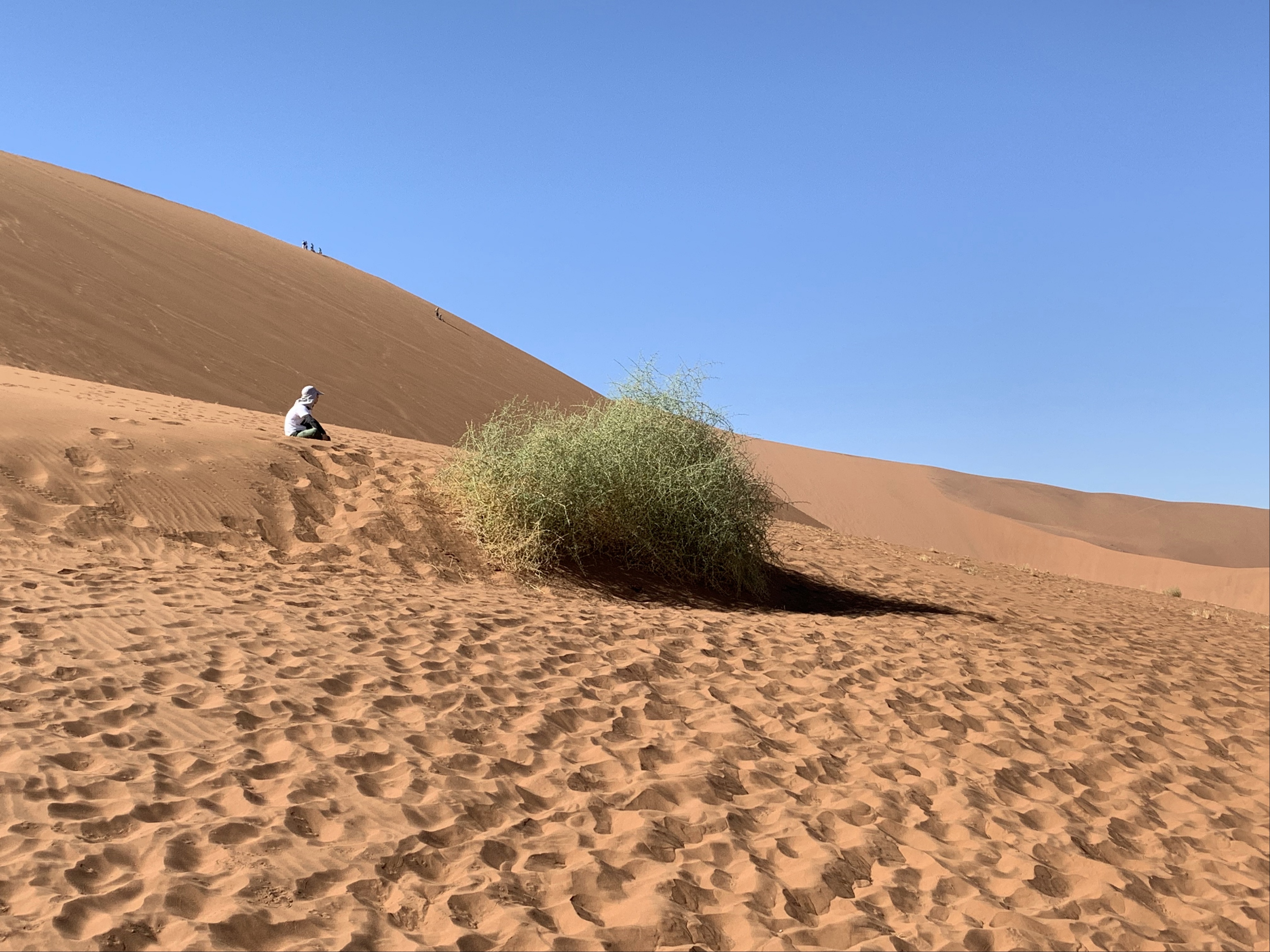 绾崇背姣斾簹绾㈣壊娌欐紶,绾崇背姣斾簹娌欐紶涔嬫梾