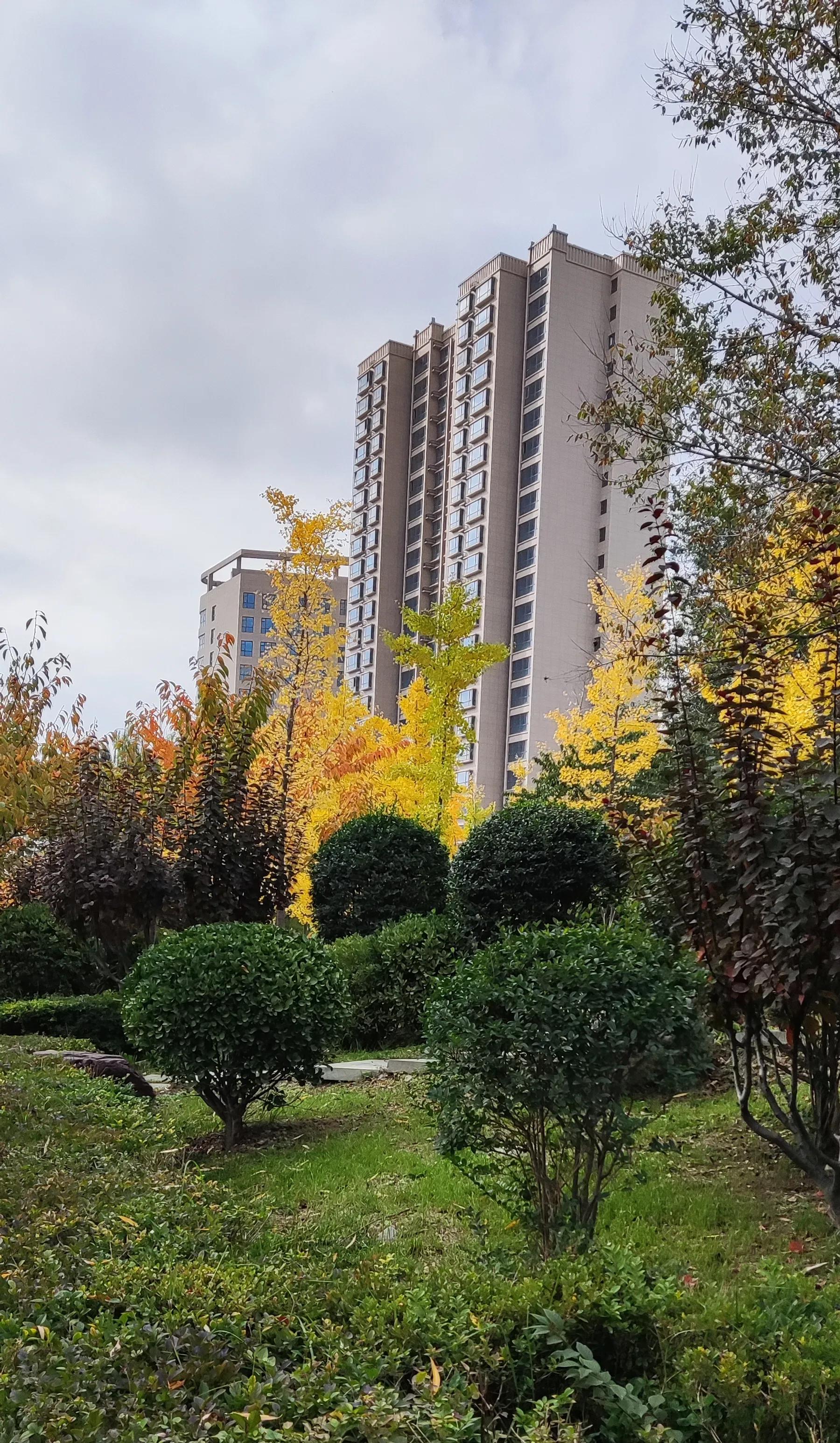 天水昌盛食品清水分公司,天水市工厂招聘大量普工