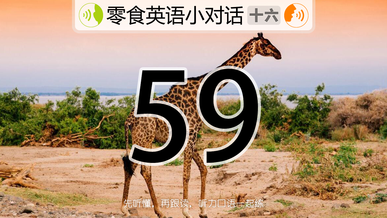 英语每日练习口语跟读,精听跟读的方法和技巧