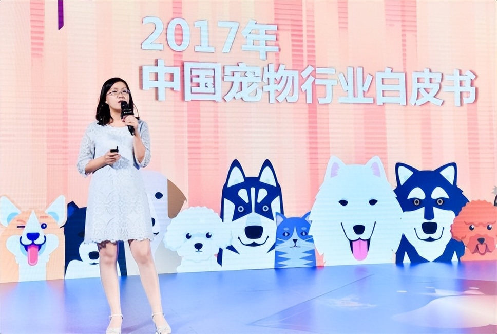 宠物基础服务包括什么服务,宠物服务包括哪些内容呢