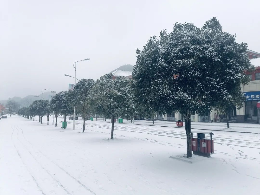 避暑胜地九坝生态度假区,九坝生态度假旅游区