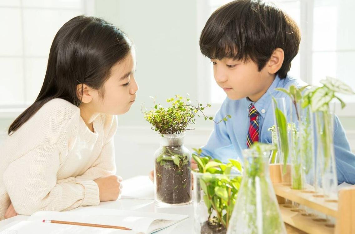 什么是幼儿教育活动,什么是幼儿教育心理学