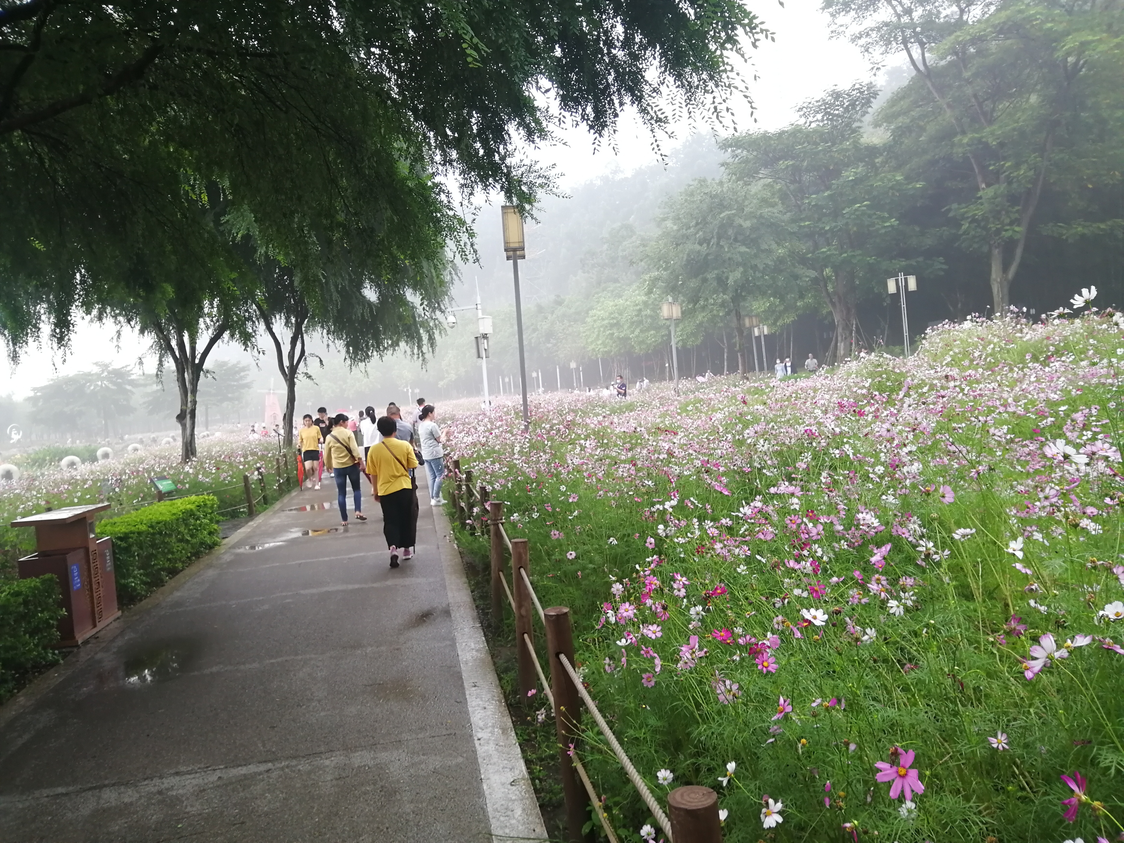 打卡广州地铁7号线,打卡广州最美7公里