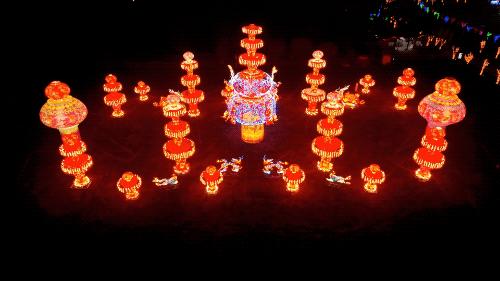 华灯盛景冰雪季“燃”动车谷最“靓”中国年