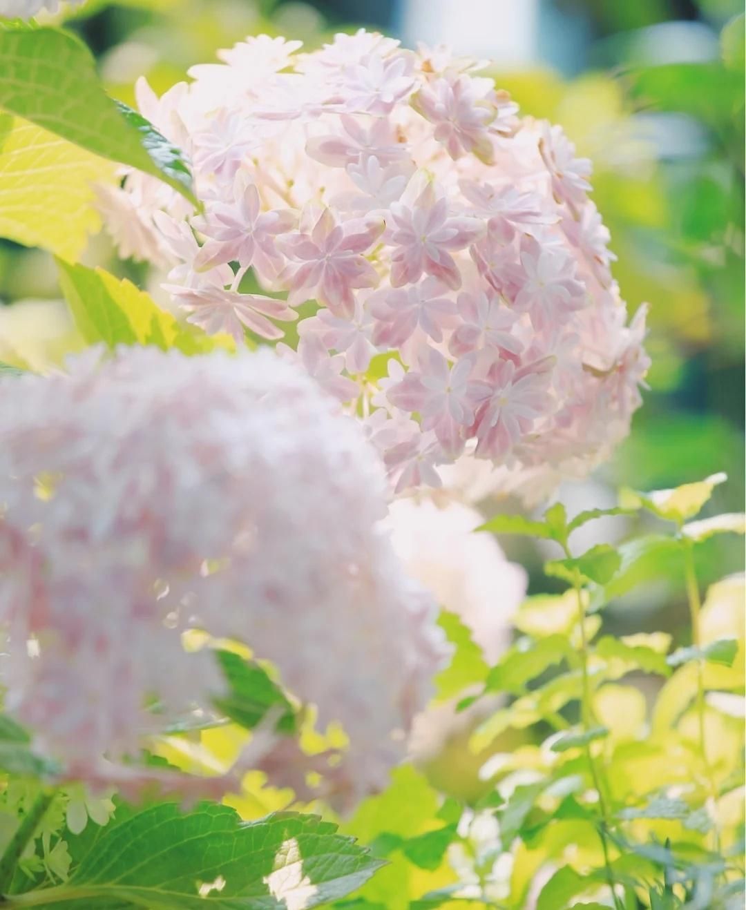 这10首诗词胜过你今年读过的鸡汤,五千年来最有哲理12句诗词太经典