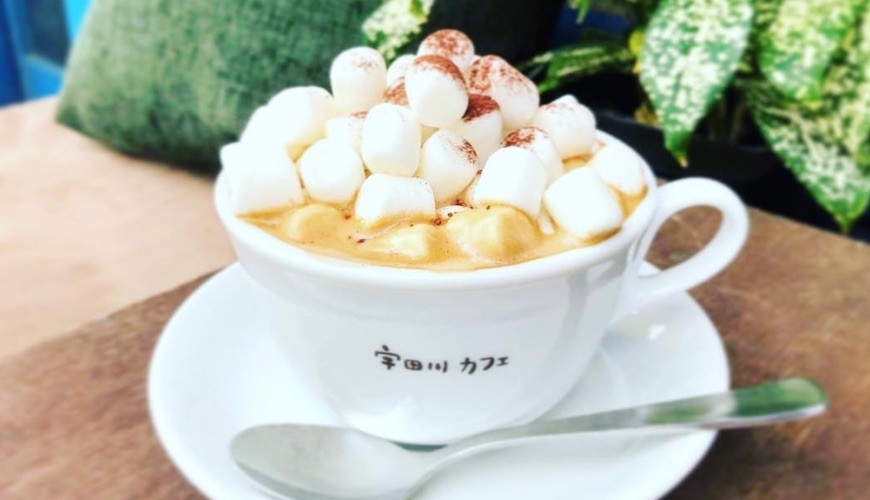 夜猫子消遣好去处,夜猫子晚上应该去哪玩