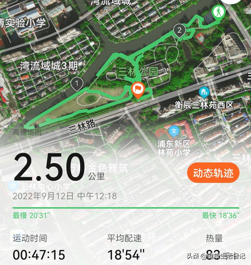 上海三林的公园,上海浦东三林公园在哪里