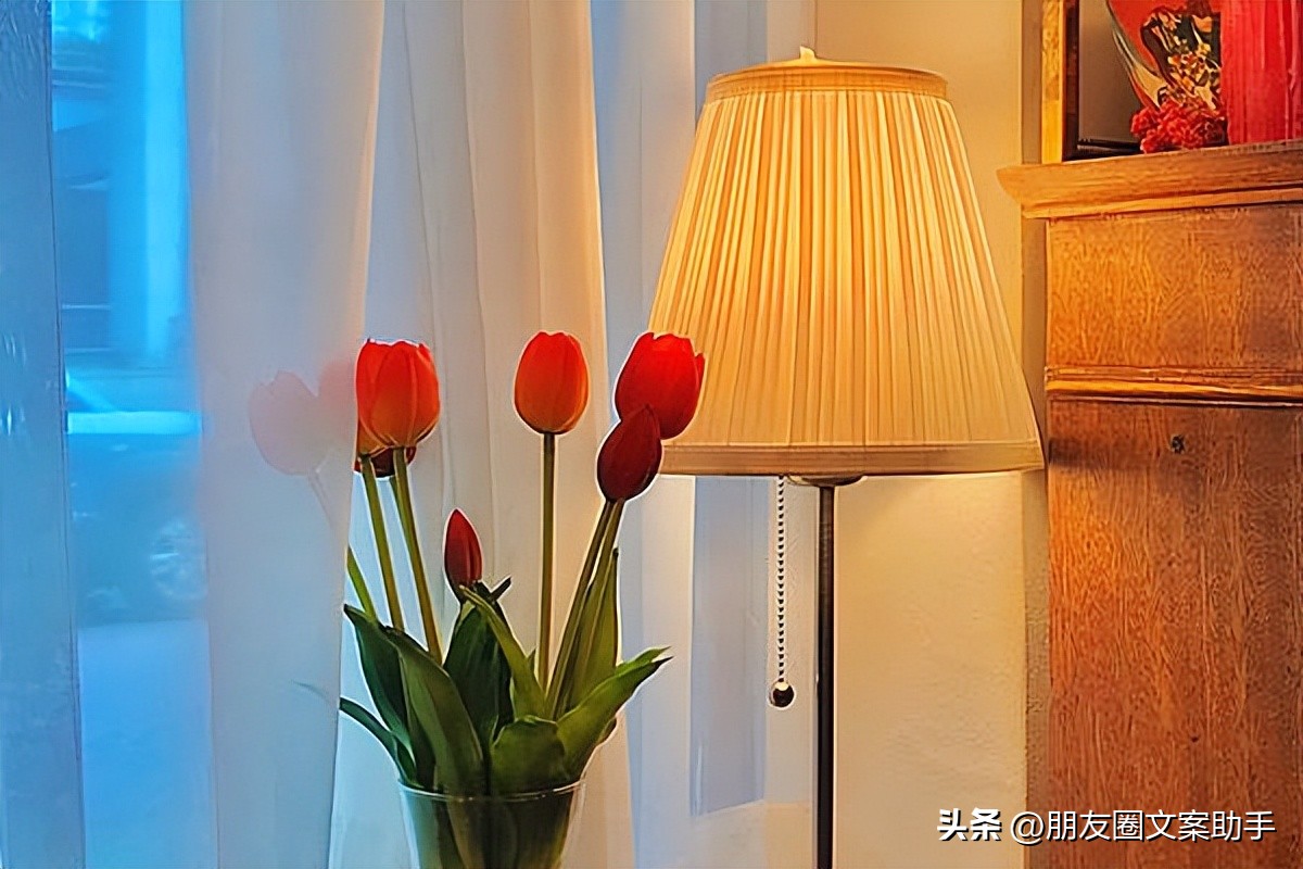 沙雕文案短句很丧,沙雕文案短句写给朋友