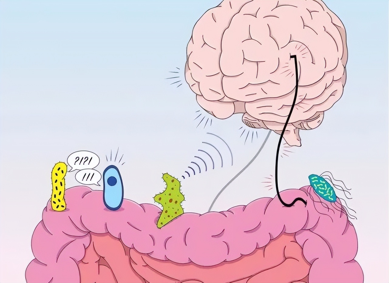 迷走神经紊乱抓哪里,胃肠迷走神经紊乱症状