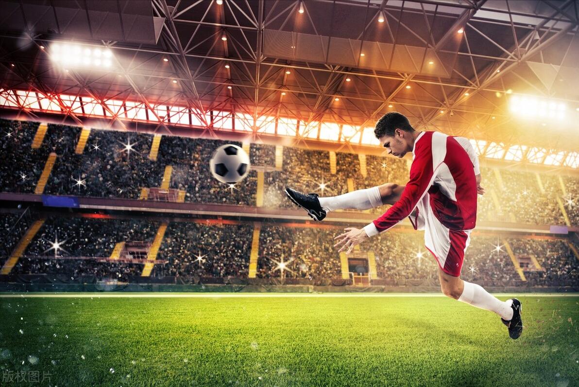 2022年卡塔尔世界杯荷兰队,2022年卡塔尔世界杯合集