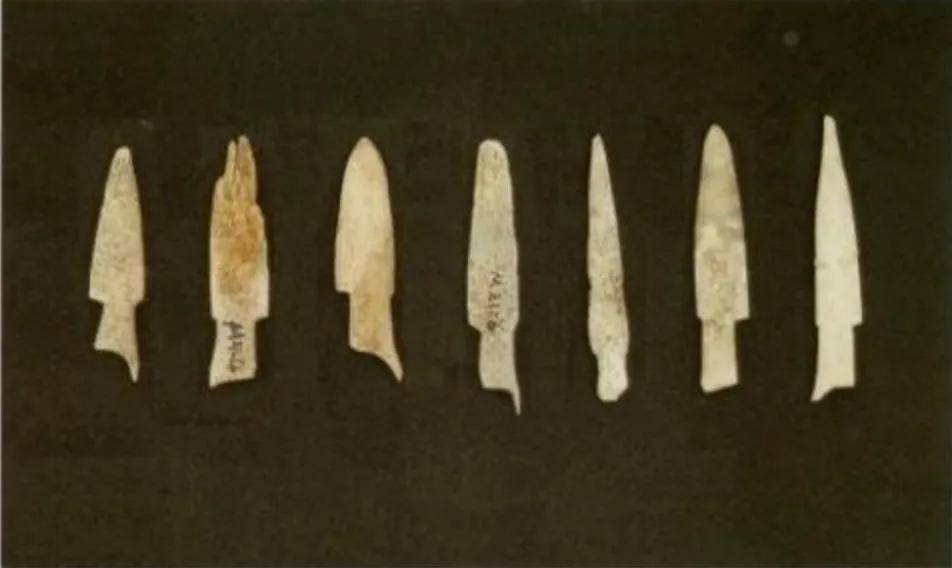 七千年前人们为何将“零口姑娘”残忍处死？