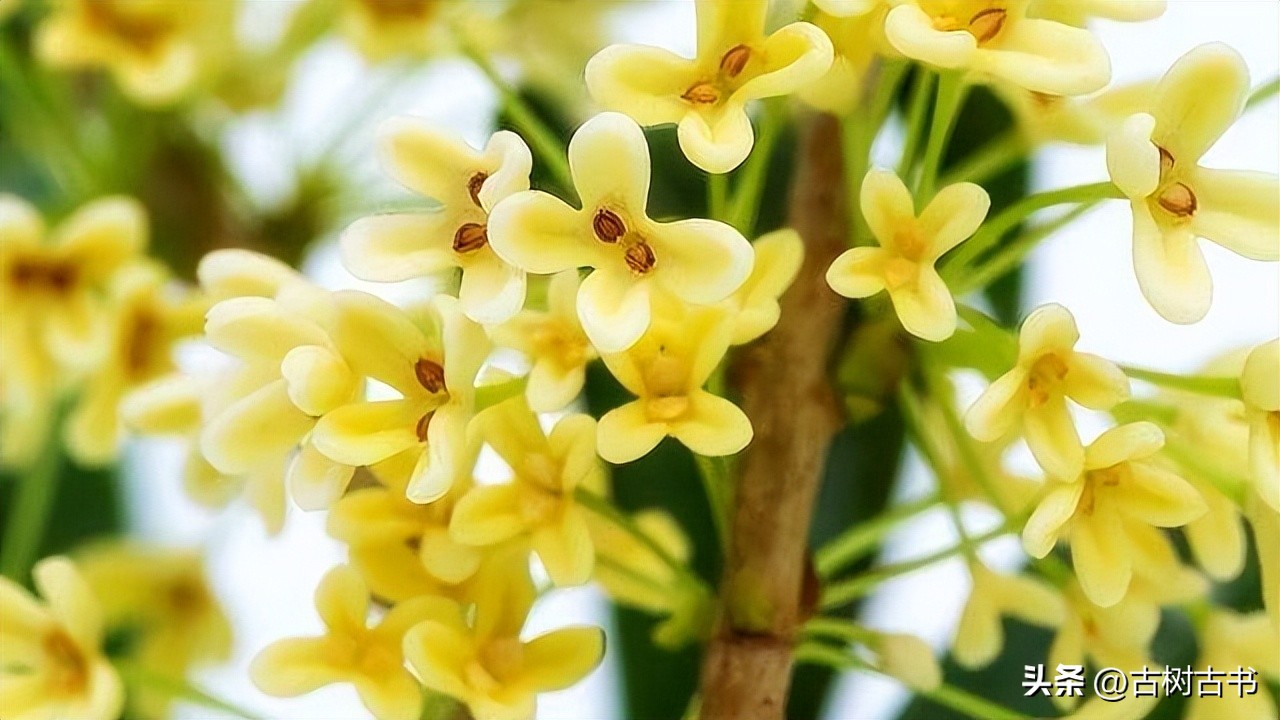 不是你的错怎么原谅,不是你的错谁也无法改变