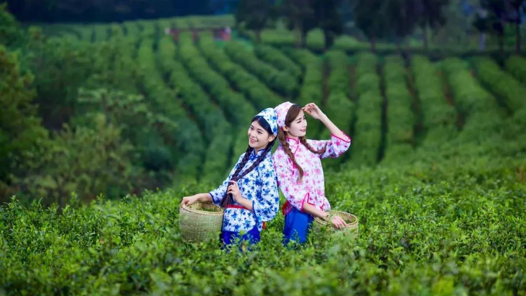 四川广元最好的特产,广元特产有哪些值得带