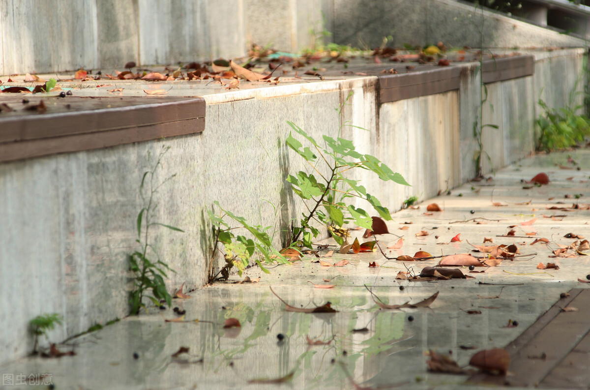 推荐几所高薪就业的专科学校,就业较好的十所专科院校
