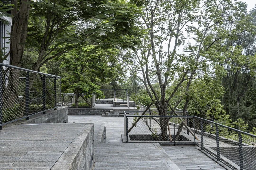 中国茶申遗成功吗,中国茶申遗成功44项名单