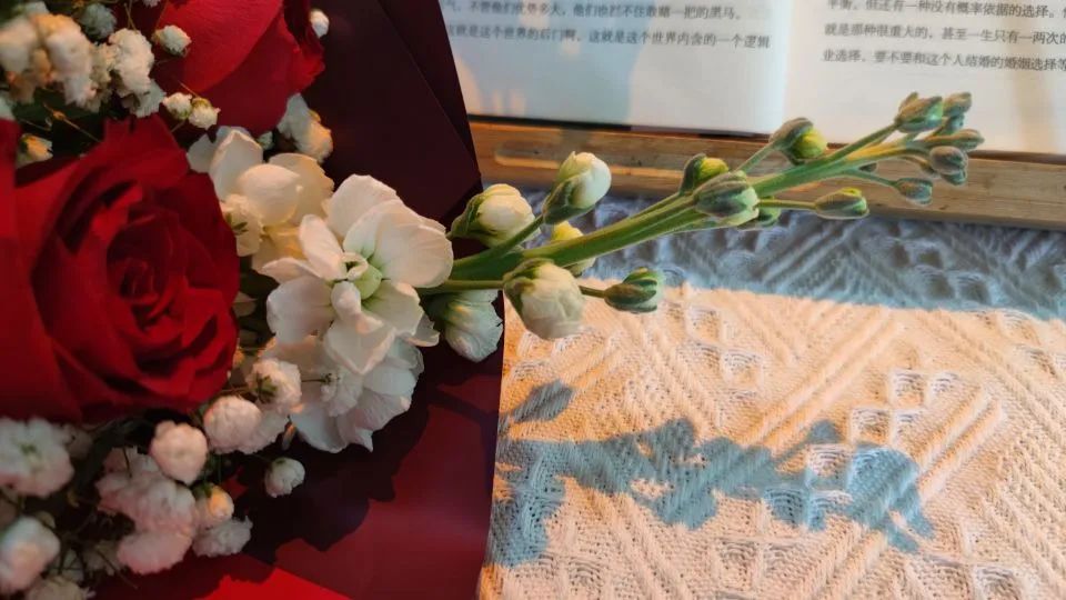 最强公号运营攻略,公号运营新手必看