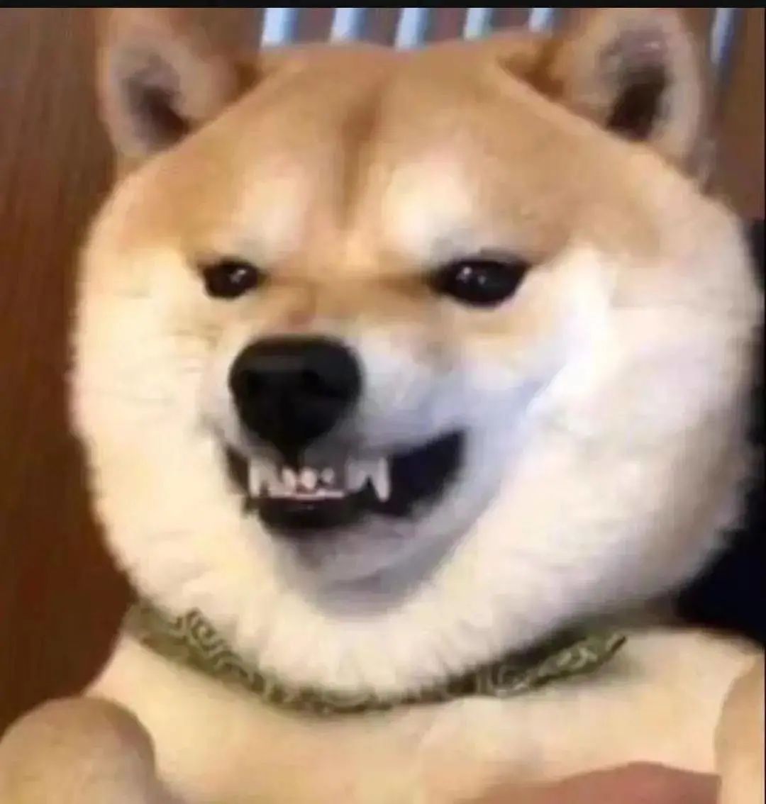 小米的发布会你一定要看,小米发布会40分钟讲小米