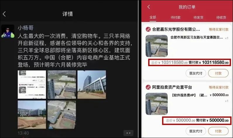 疯狂小杨哥被打假的是什么产品,疯狂小杨哥被打假视频