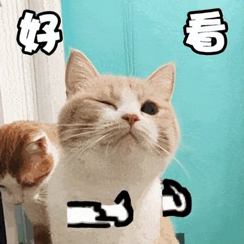 贩剑表情包评论区,贩剑表情包不回消息