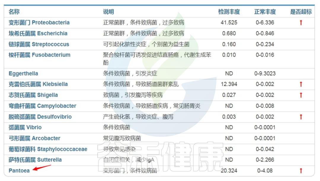 Pantoea,泛菌属——肠道内善恶兼备的神秘细菌