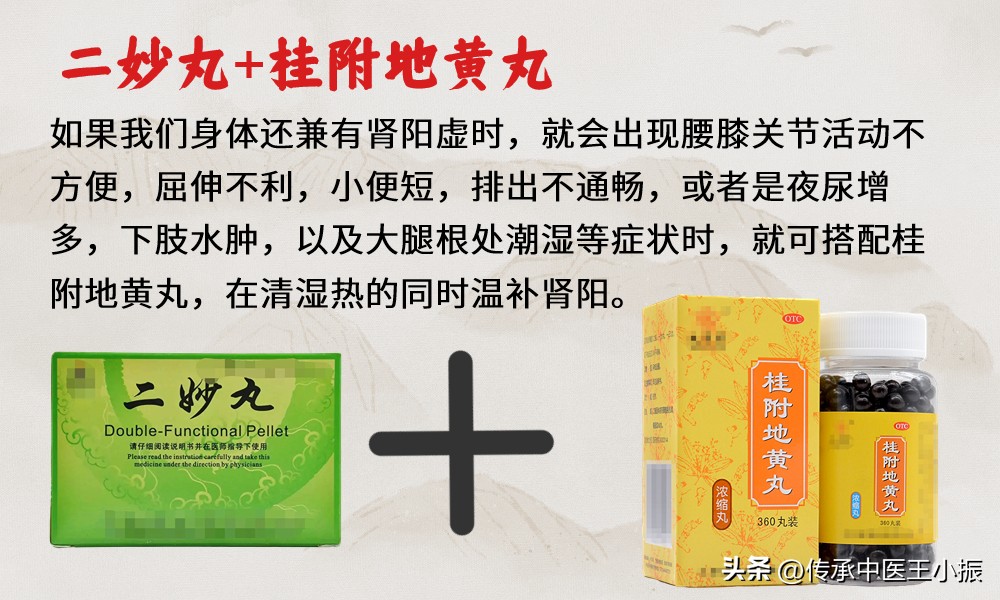二妙丸搭配什么祛湿,清热利湿二妙丸