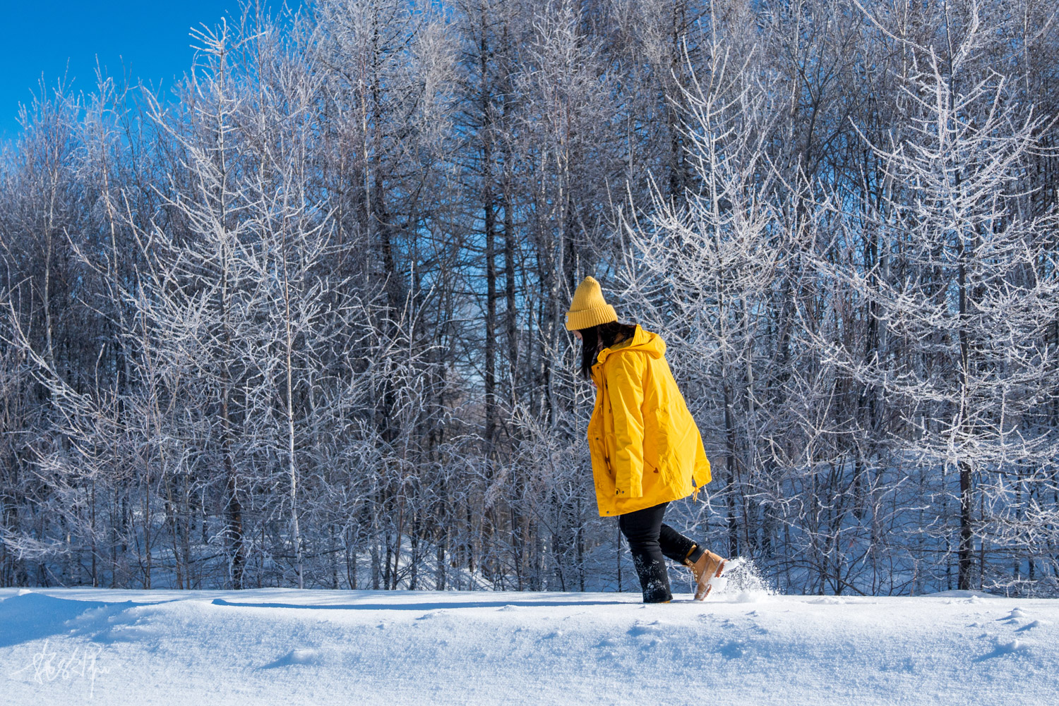 我的2022年度报告,我的2022原版