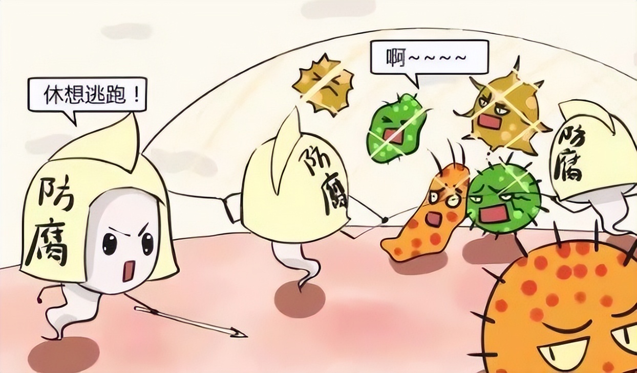 不含防腐剂的东西一定更健康吗,黑麦全麦面包不含防腐剂