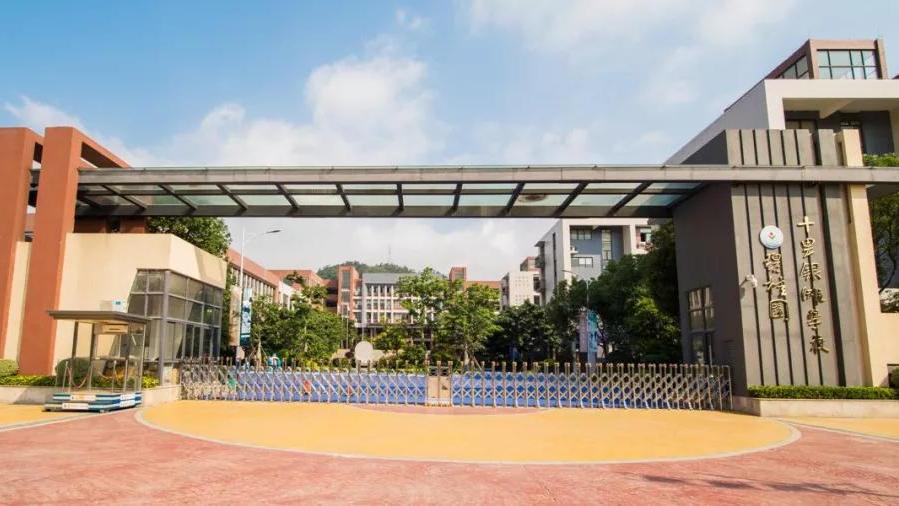 深圳开设dse课程的学校有哪些,深圳dse培训机构排名