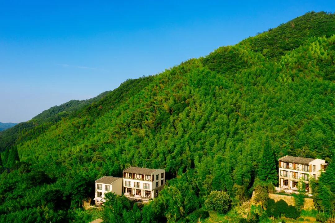 莫干山最美民宿20个推荐,莫干山民宿隐凡尘度假