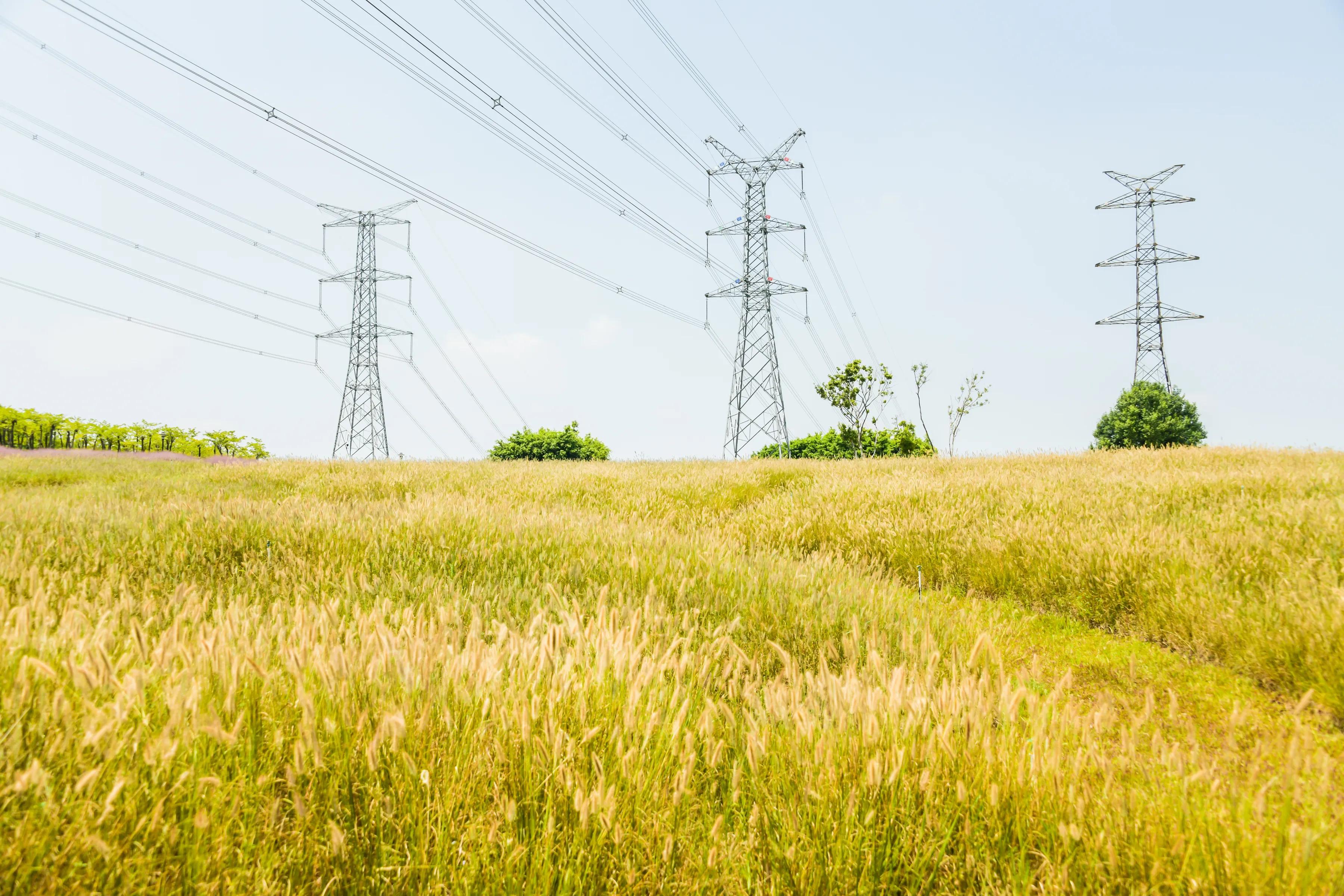 网红森林公园旅游,周日网红公园一游