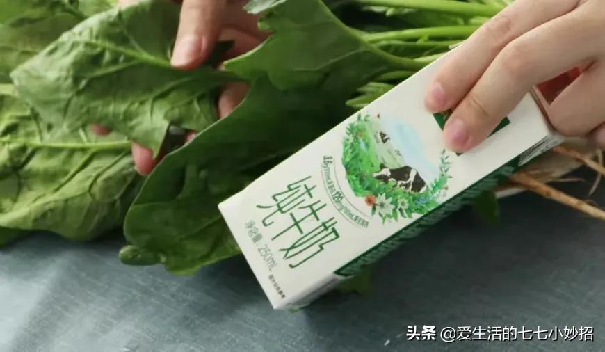 爱吃菠菜的好处,吃菠菜不能和什么同吃