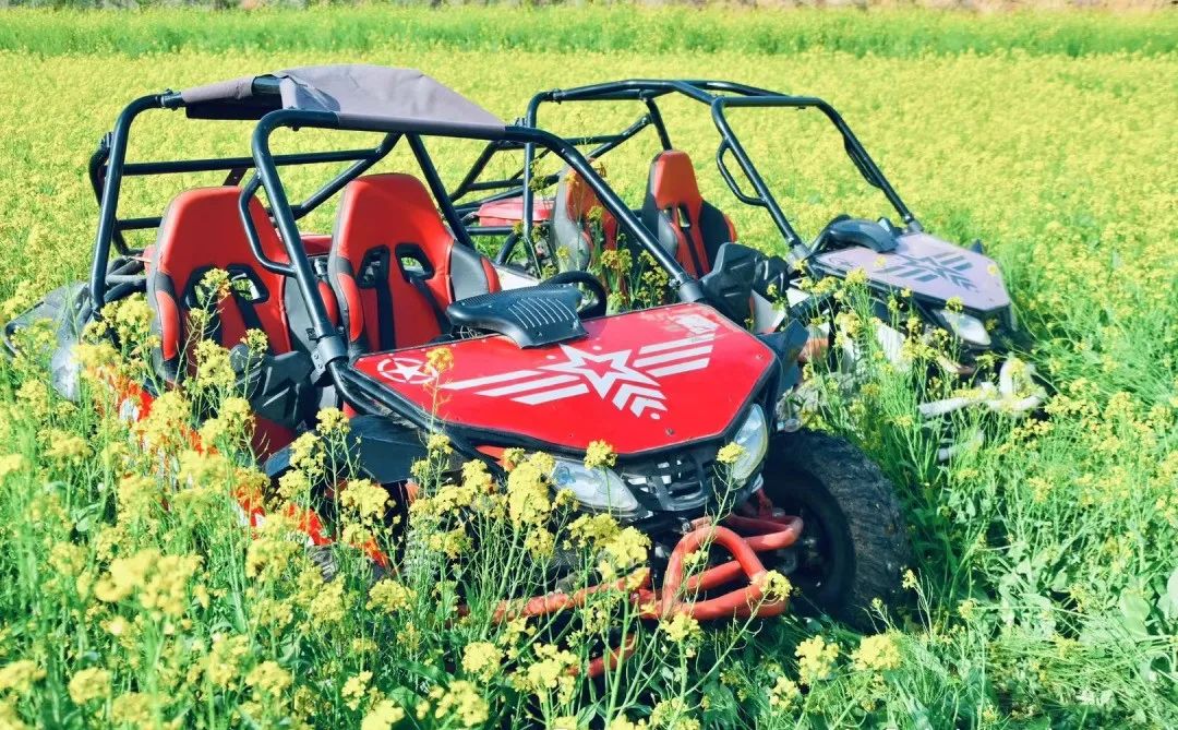 农业主题公园怎么打造,世界最成功的农业主题公园