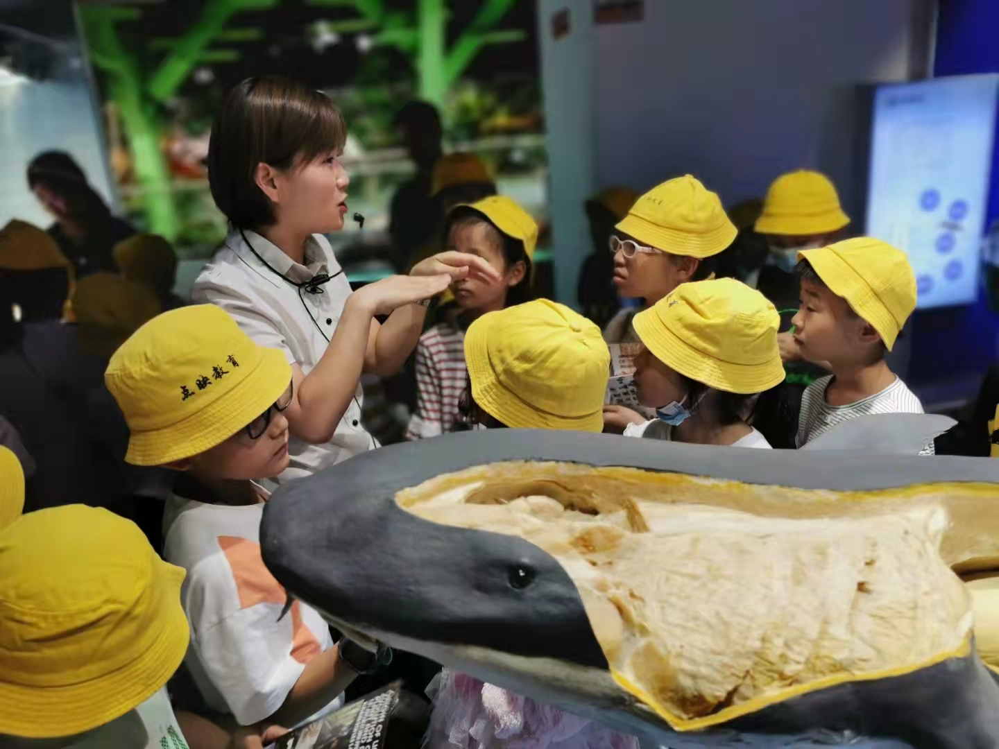 郑州人体科学馆要门票吗,郑州适合带孩子玩的博物馆科技馆