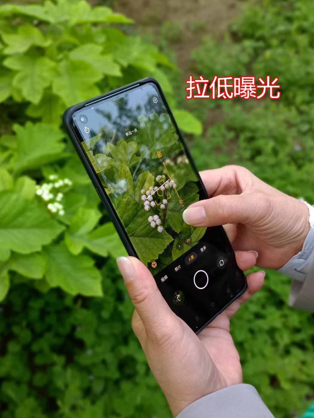 手机拍照的一些小技巧,手机拍照的3个小技巧很实用