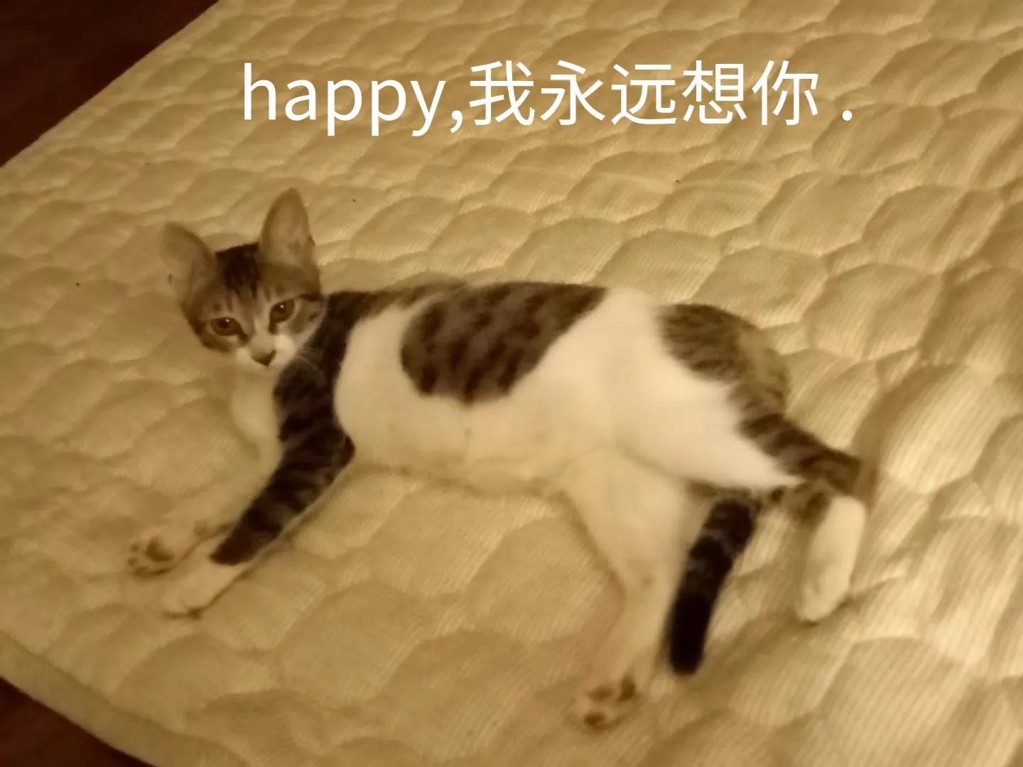 happy鎴戠殑濂冲鎻掓洸,浣爃appy鎴戜篃happy