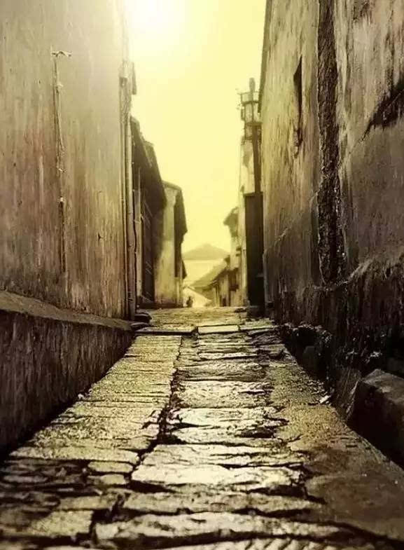 散文欣赏轻语岁月淡看流年,珍惜当下让人安然而静的散文