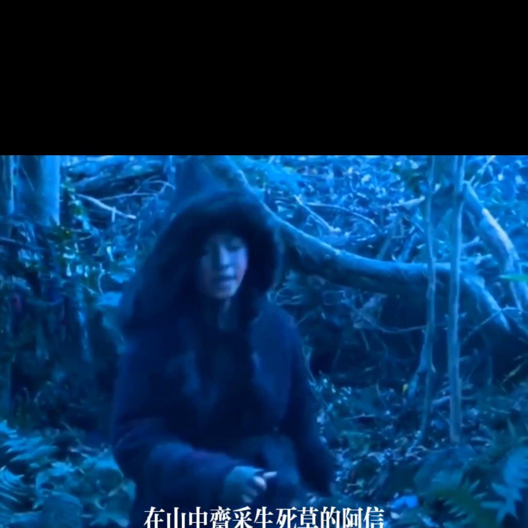 王国前传北方的阿信完整版,韩剧北方的阿信