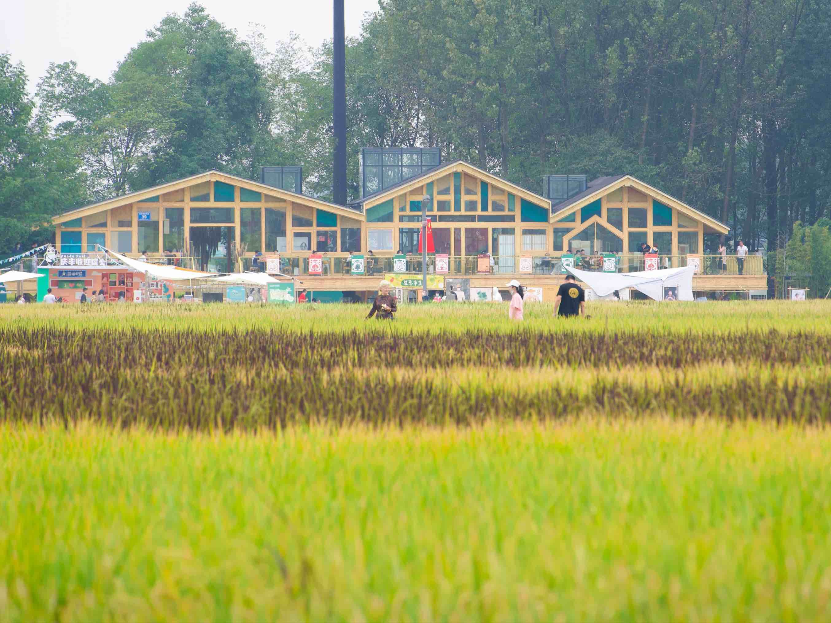 放假去哪里玩又便宜又好玩成都,假期去哪玩便宜又好玩儿成都