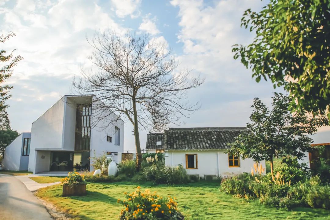 乡村振兴100讲全集,100个经典乡村振兴案例