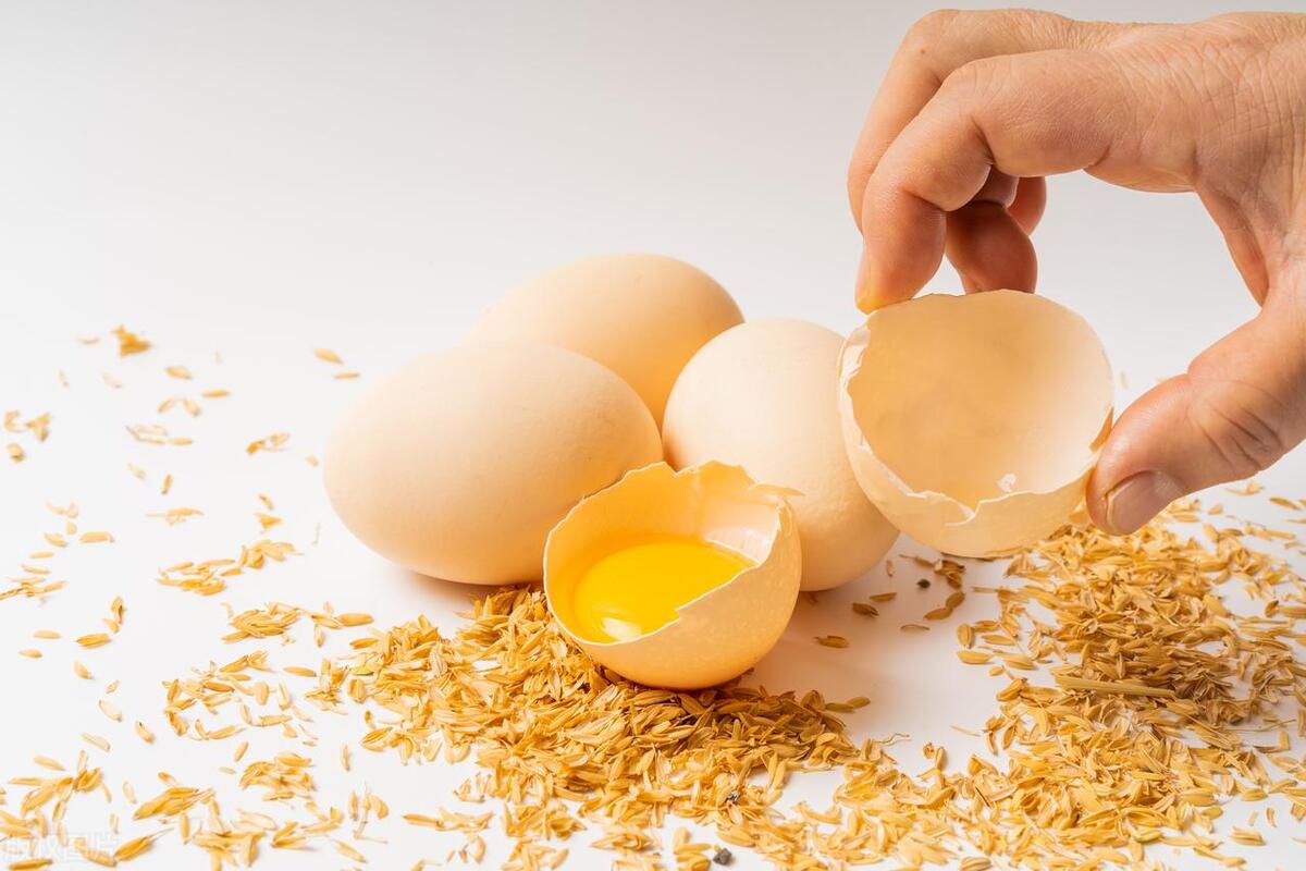 鸡蛋壳别直接扔掉,鸡蛋壳别丢