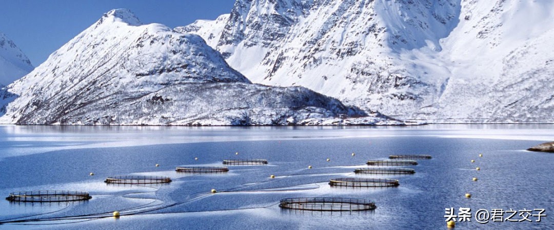 挪威克朗200,200挪威克朗背面