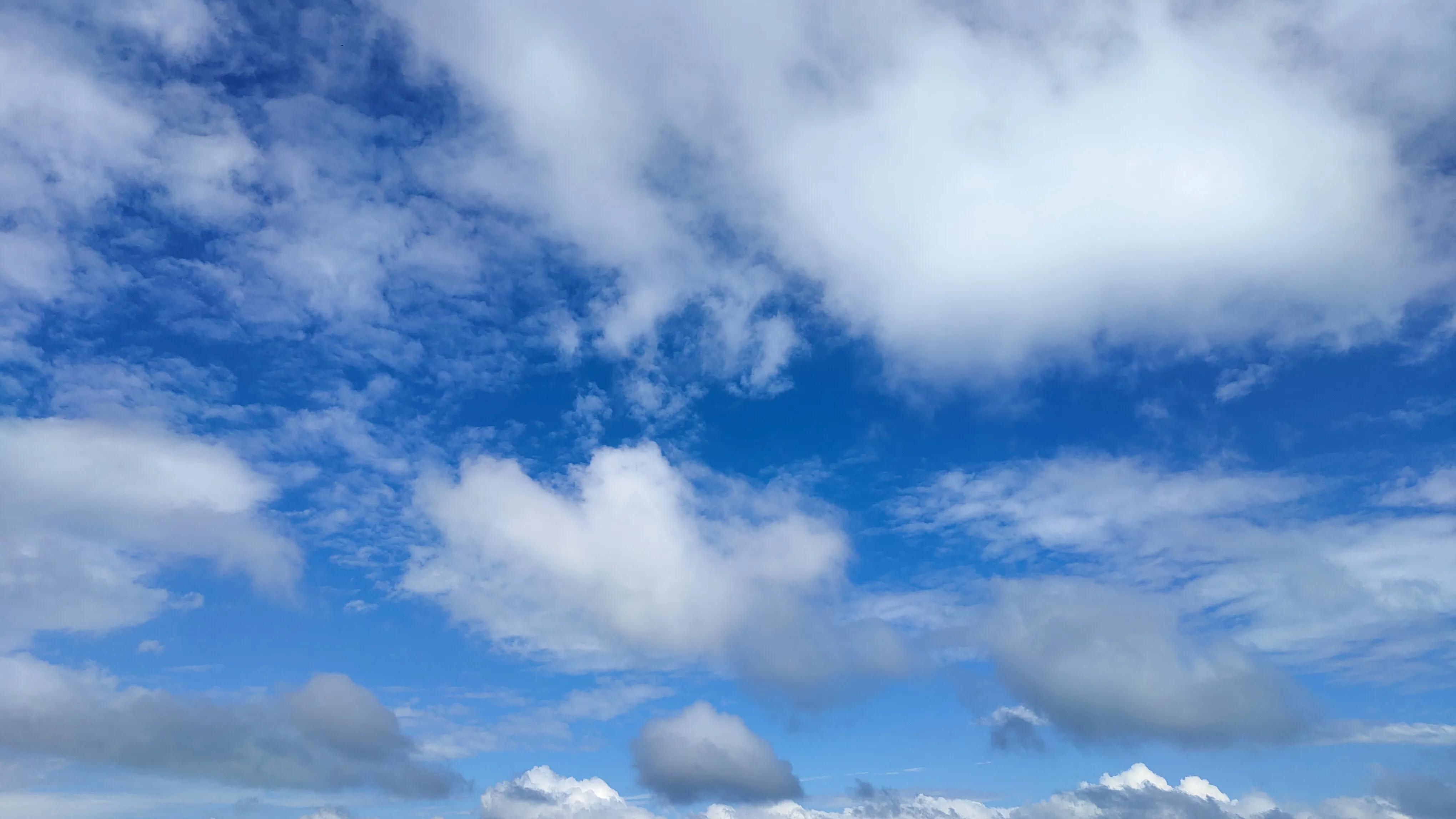 迷迷糊糊的是梦见了未来吗