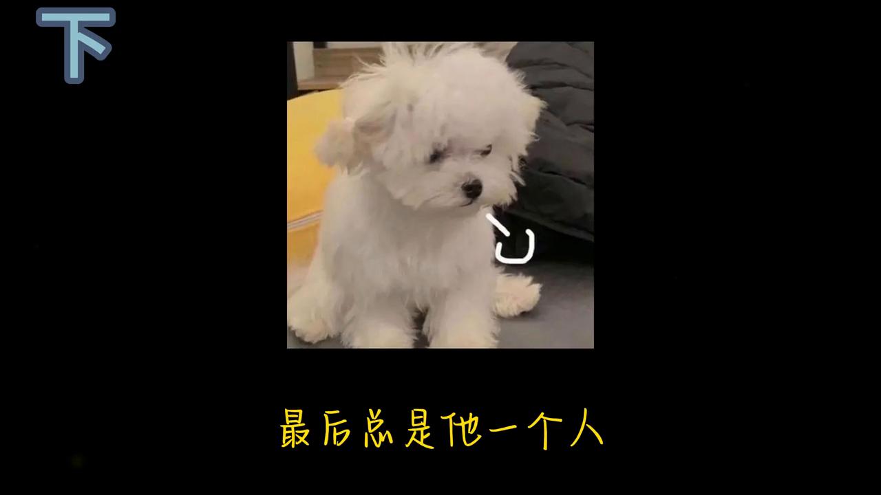 男朋友意外去世了该怎么释怀,男朋友意外去世我该怎么见到他